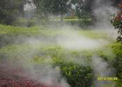 Dense Fog Spraying System in Hubei Porvince (四)